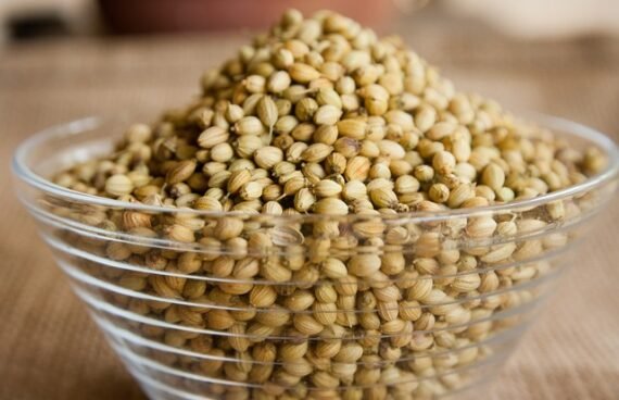 Coriander Seeds - Image 3