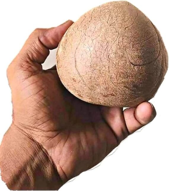 Dry Coconut - Image 3