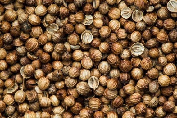 Coriander Seeds - Image 9