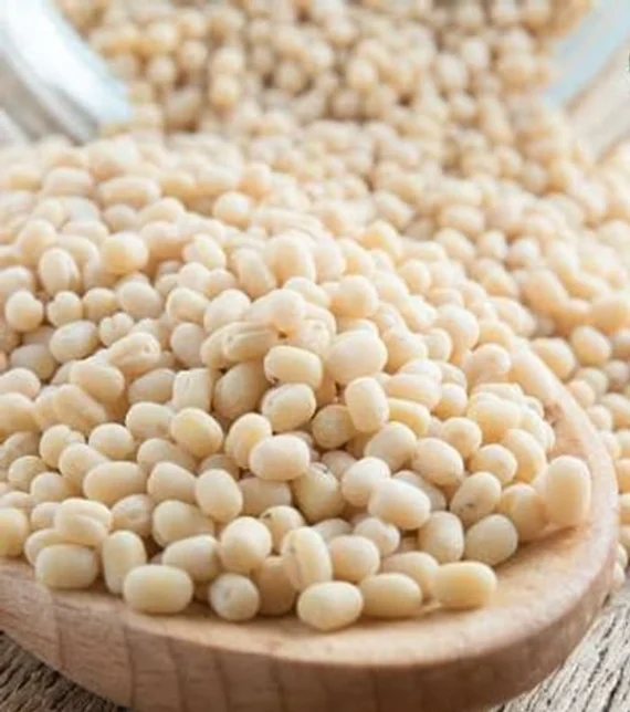 O'nut Urad Dal - Image 5