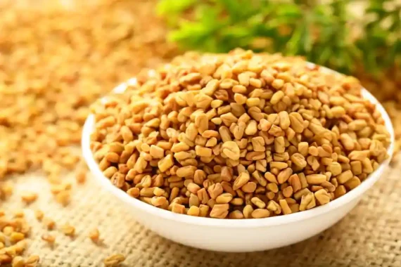 Fenugreek Seeds